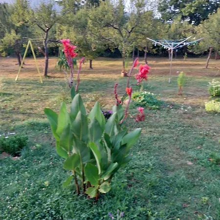 Apartman Licki San *