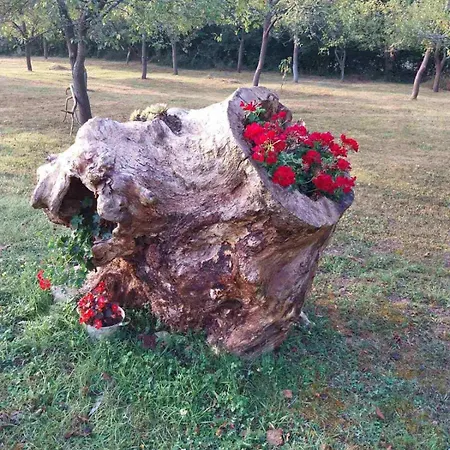 Licki San Lejlighed Srb