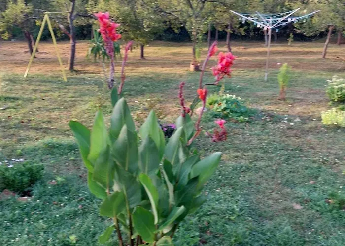 Apartment Licki San *