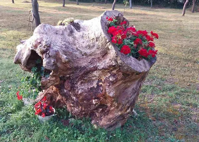 Licki San Apartment Srb